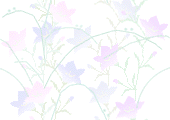 white-purple-blue-flowers